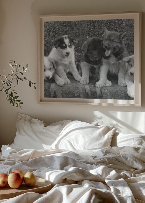 VINTAGE PHOTO OF CUTE PUPPIES