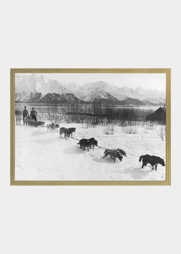 VINTAGE PICTURE OF DOGSLEAD TEAM(ALASKA MAYBE)