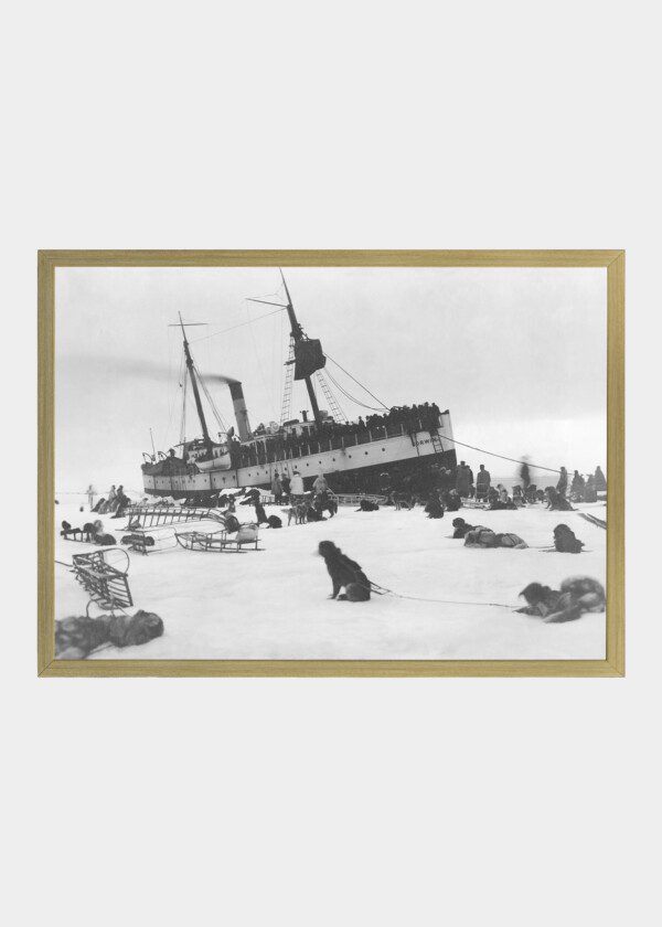 DOGTEAM RESTING ON THE ICE