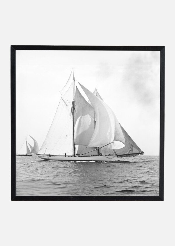MAYFLOWER