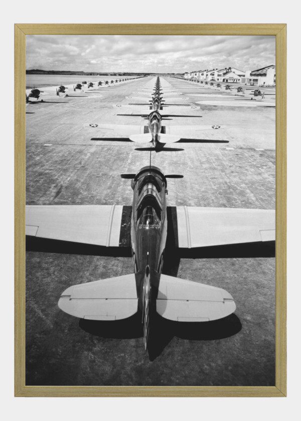 ROWS OF MILITARY AIRCRAFTS