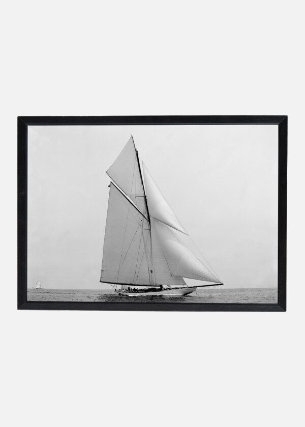 YACHT CONSTITUTION SLOOP 1901