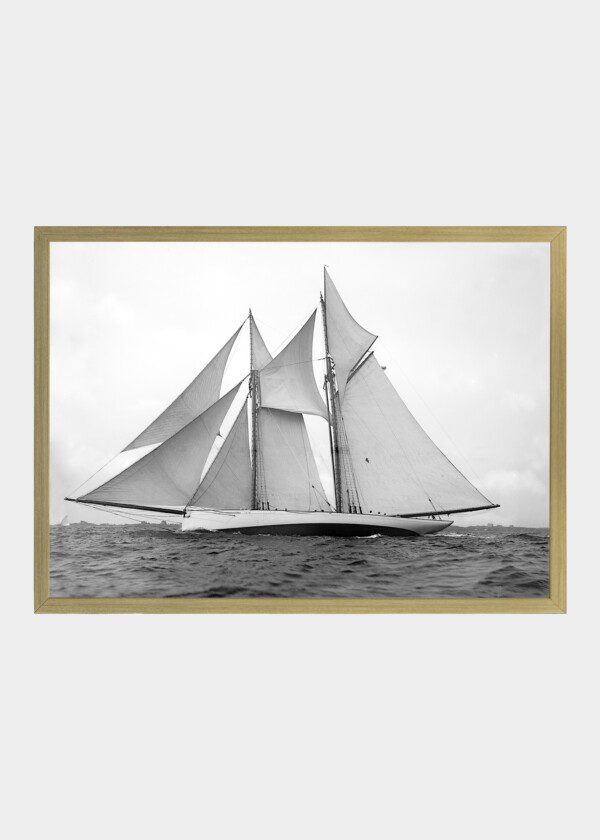 MAYFLOWER