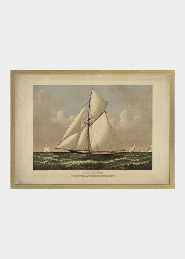 ILLUSTRATION S-Y TISSTLE