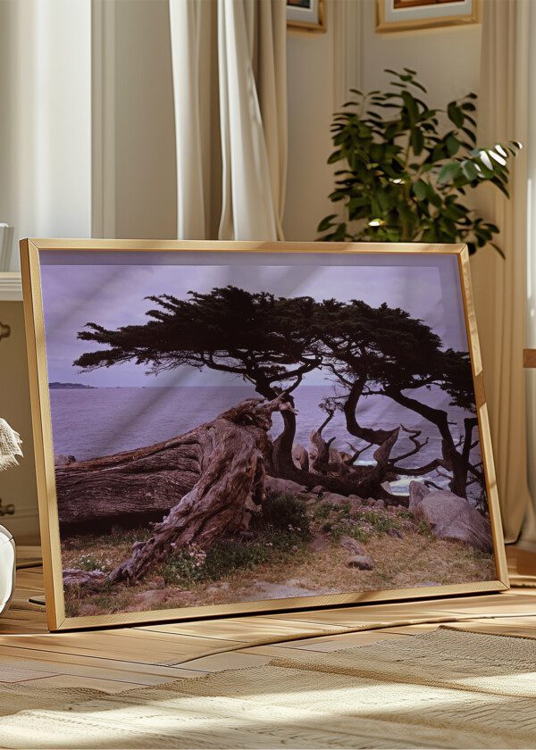 MONTEREY CALIFORNIA
