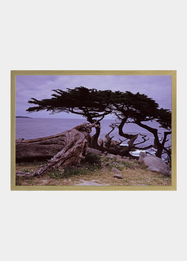 MONTEREY CALIFORNIA