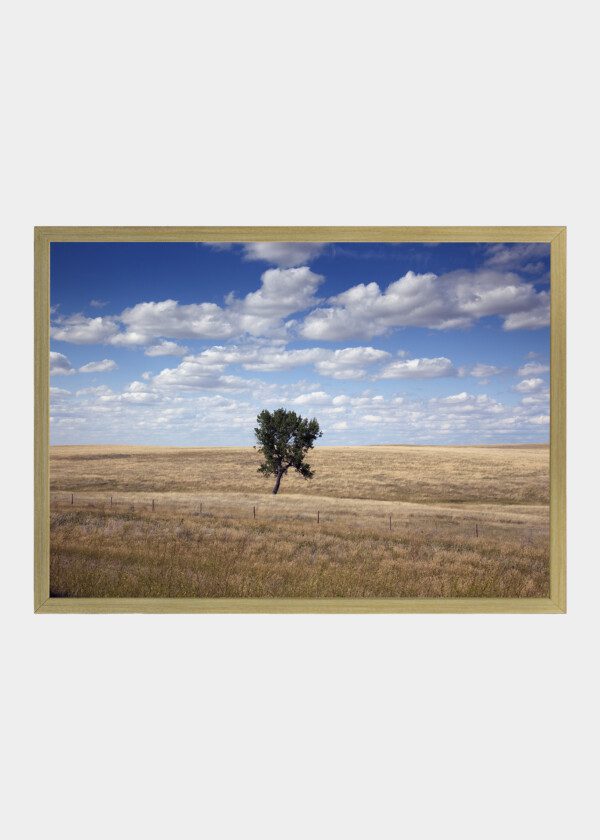 RURAL SCENE SOUTH DAKOTA