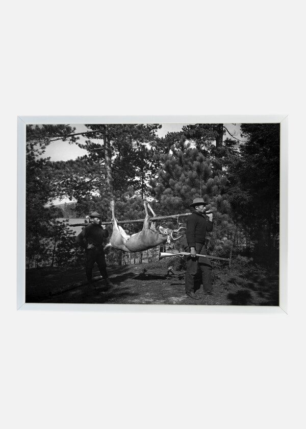 ADIRONDACKS, NEW YORK 1903