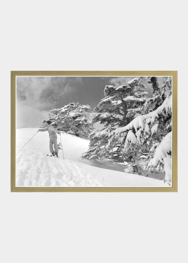 CEDARS, SKIING IN THE GROVE 1946