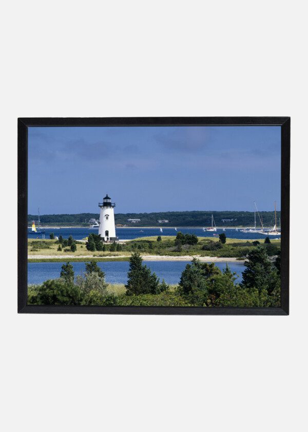 MARTHA'S VINEYARD