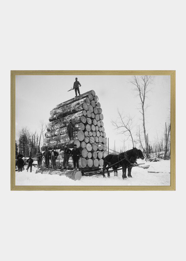 LOGGING A BIG LOAD MICHIGAN 1880