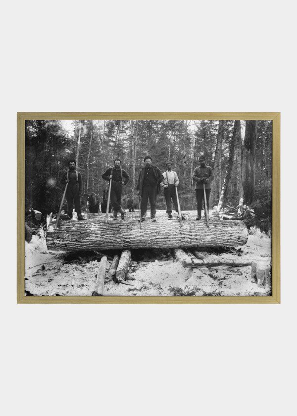 THE LOGGERS, MICHIGAN 1880