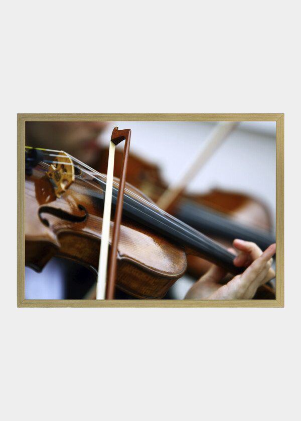 CLOSE UP VIOLIN