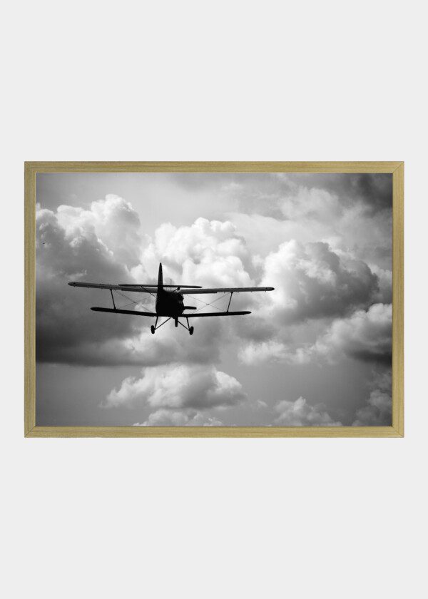 VINTAGE AIRCRAFT