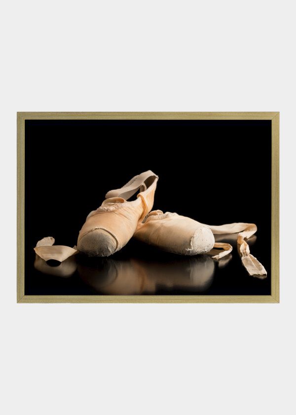 BALLET SHOES