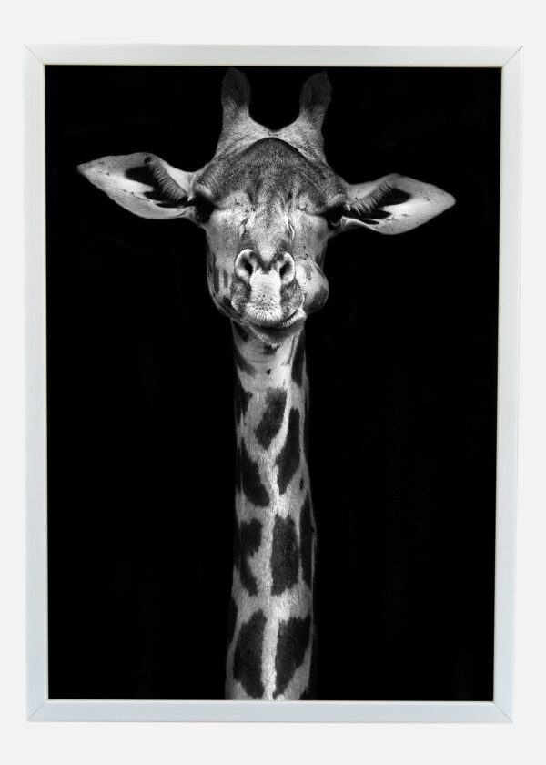 BIG FUNNY GIRAFFE