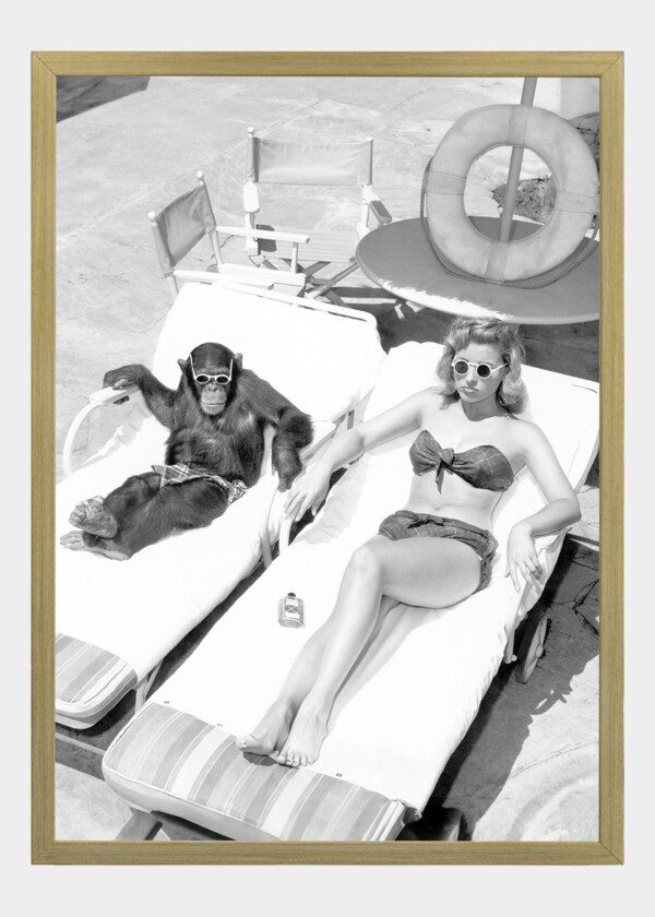 SUNBATHING MONKEY