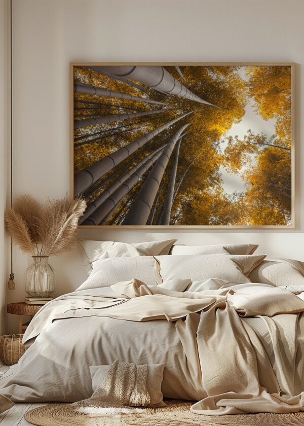 TALL TREES