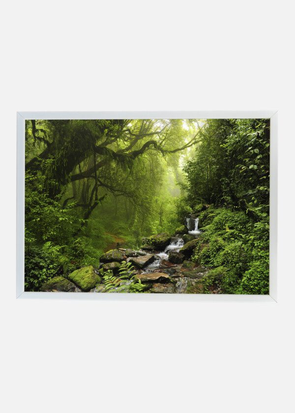 SMALL WATERFALL IN THE JUNGLE