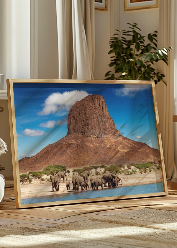ELEPHANTS AND MOUNTAINS