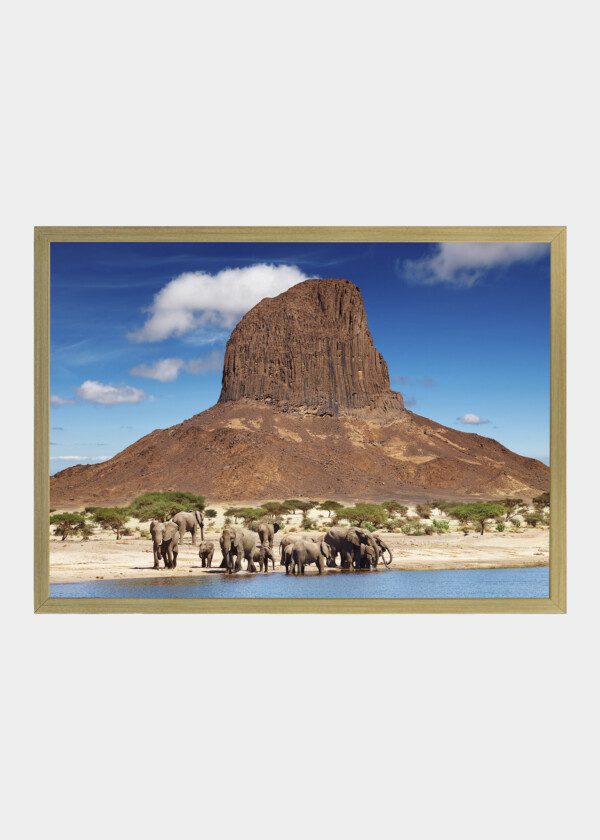 ELEPHANTS AND MOUNTAINS