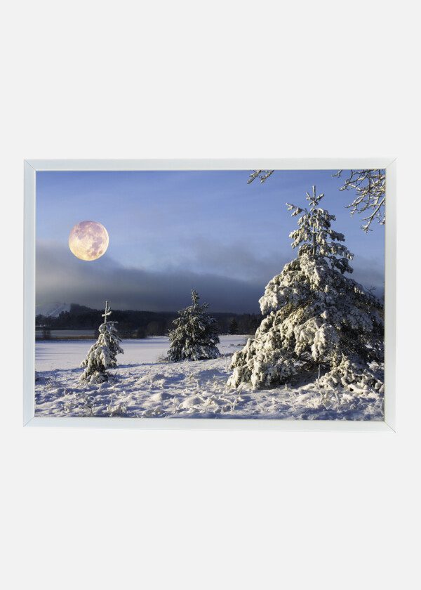 WINTER LANDSCAPE WITH BIG MOON