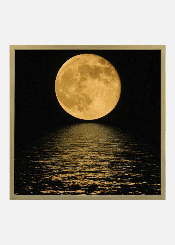 MOON GLITTERS IN THE LAKE