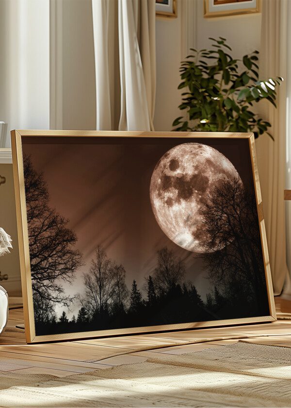 BIG MOON AND BLACK TREES