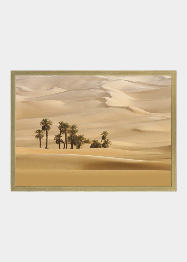 OASIS AMONG SAND DUNES