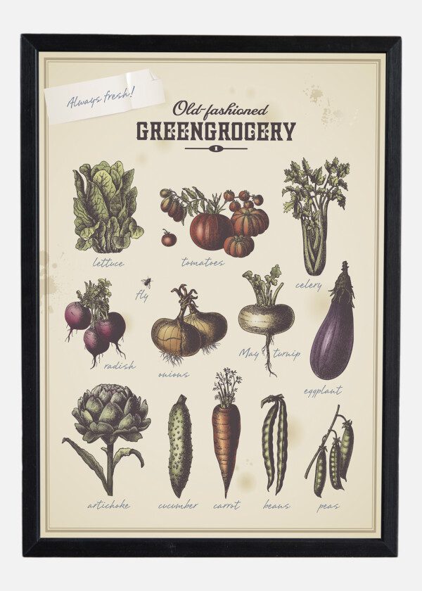 POSTER VEGETABLES