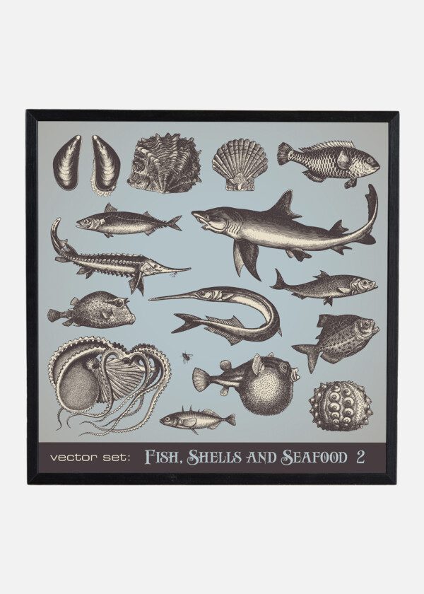 POSTER FISH AND SEAFOOD