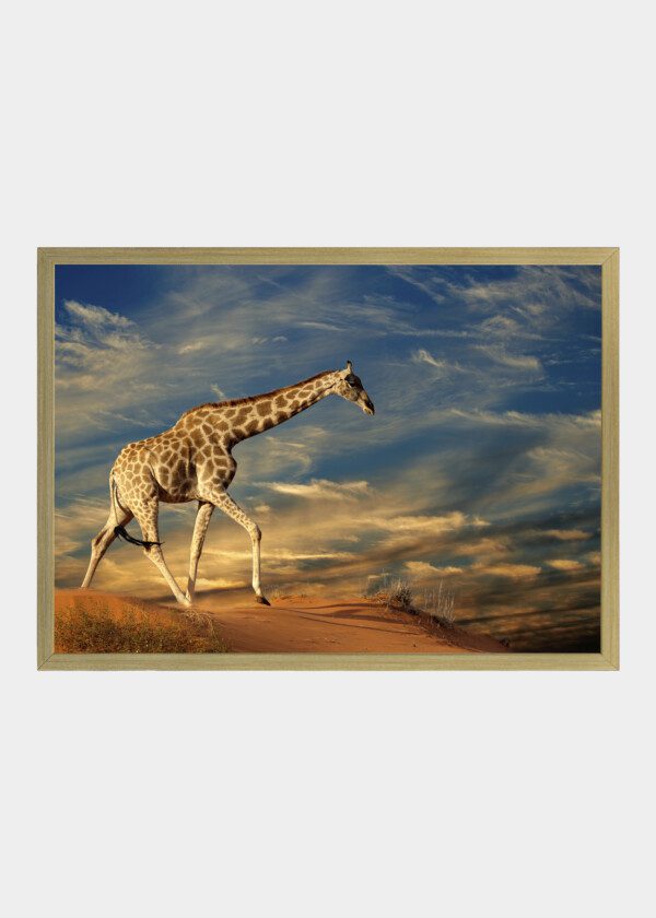 GIRAFFE