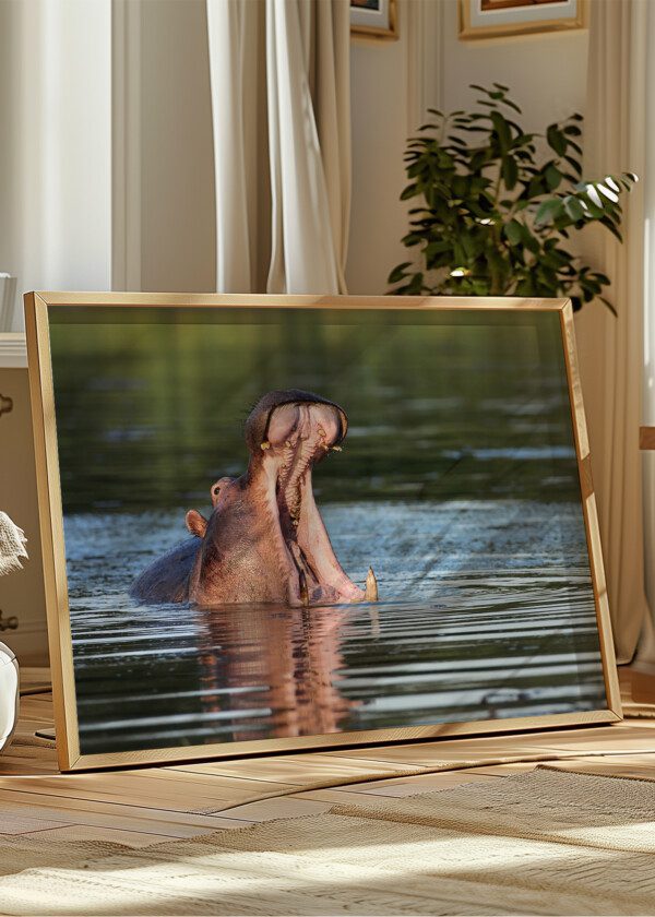HIPPO
