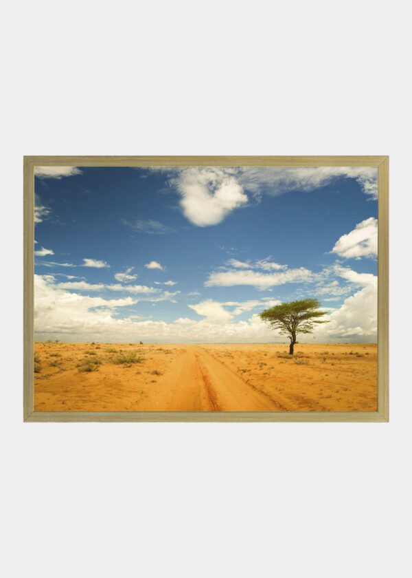 WAY THROUGH THE DESERT