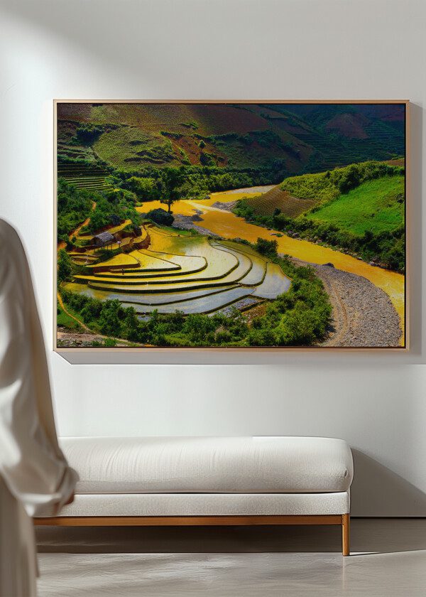 PADDY FIELD