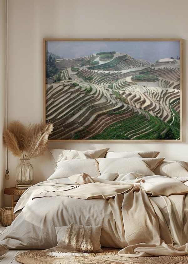 TERRACE PLANTATIONS