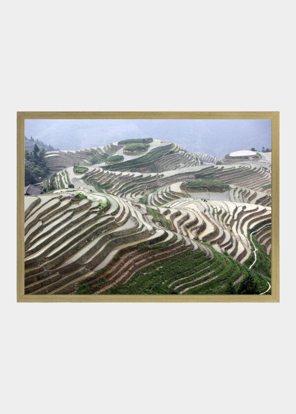 TERRACE PLANTATIONS