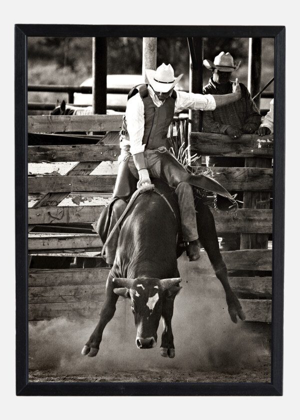 RODEO RIDERS