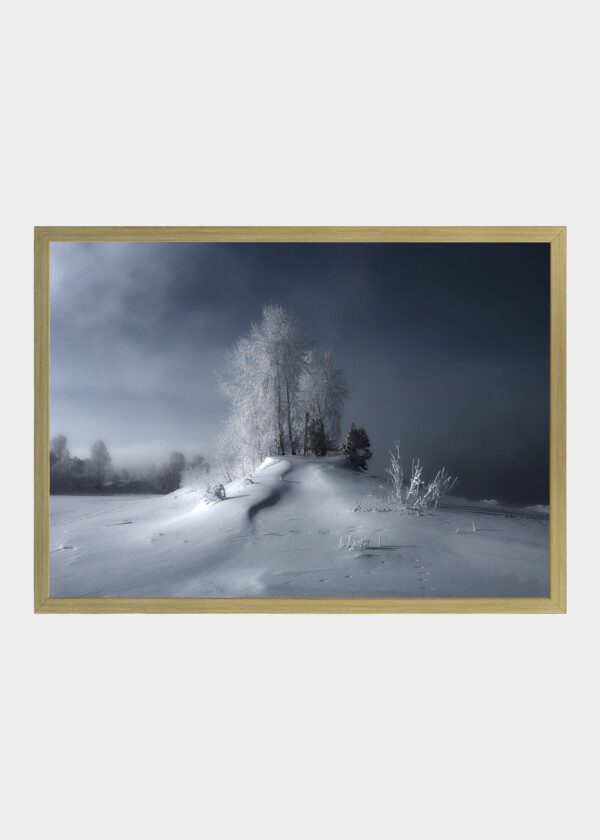 WINTER PICTURE