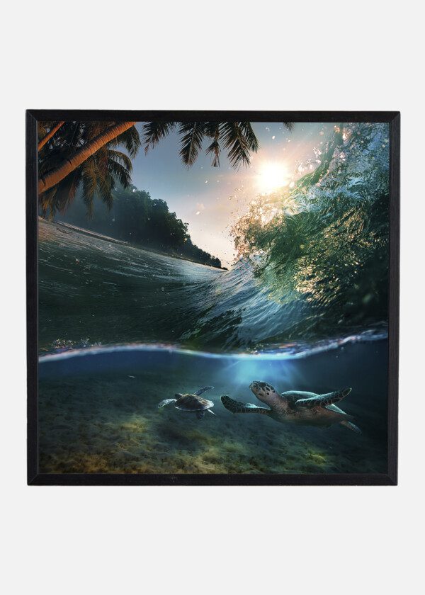 TURTLES AND PALM TREES