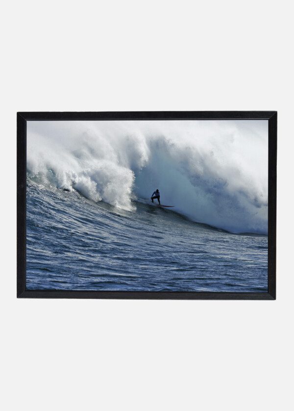 SURFER