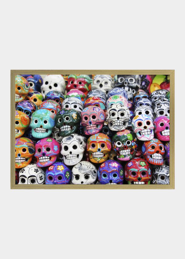 COLORFUL SKULLS