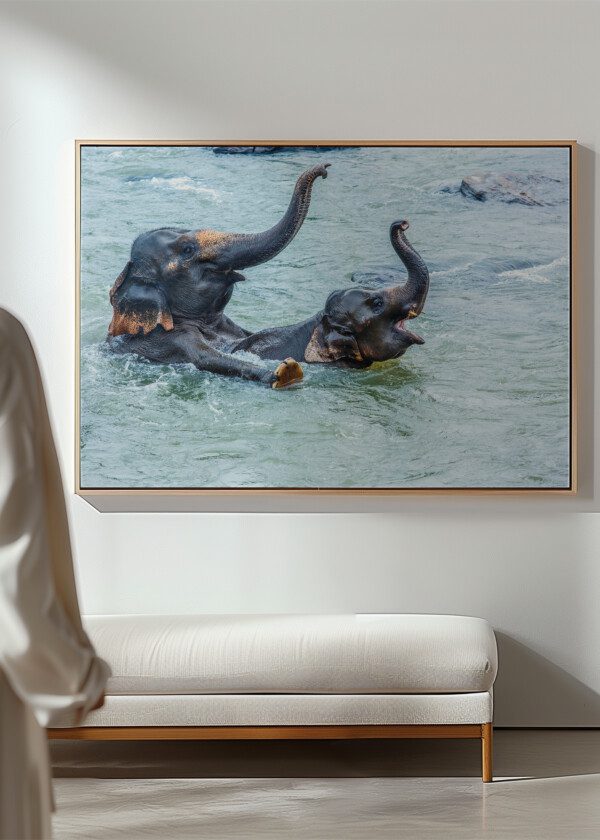 ELEPHANTS