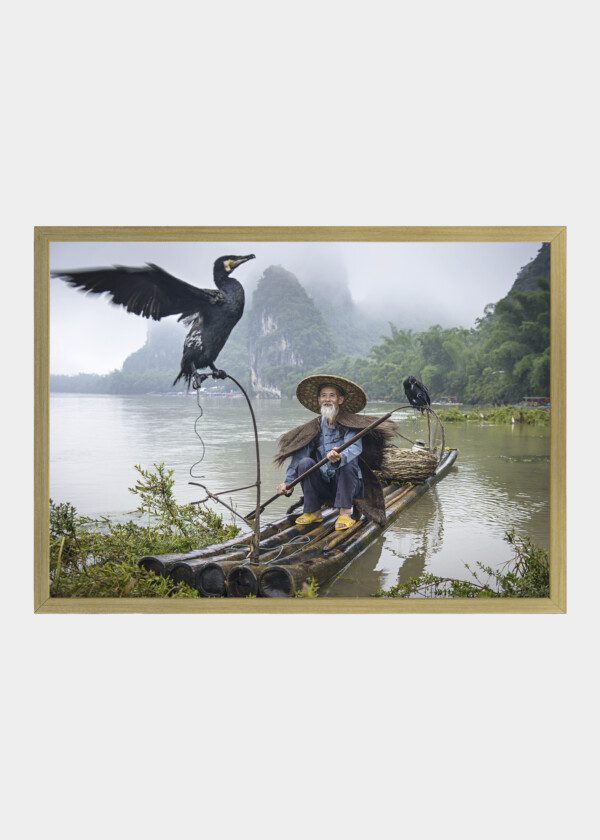 CORMORANT FISHING IN ASIA