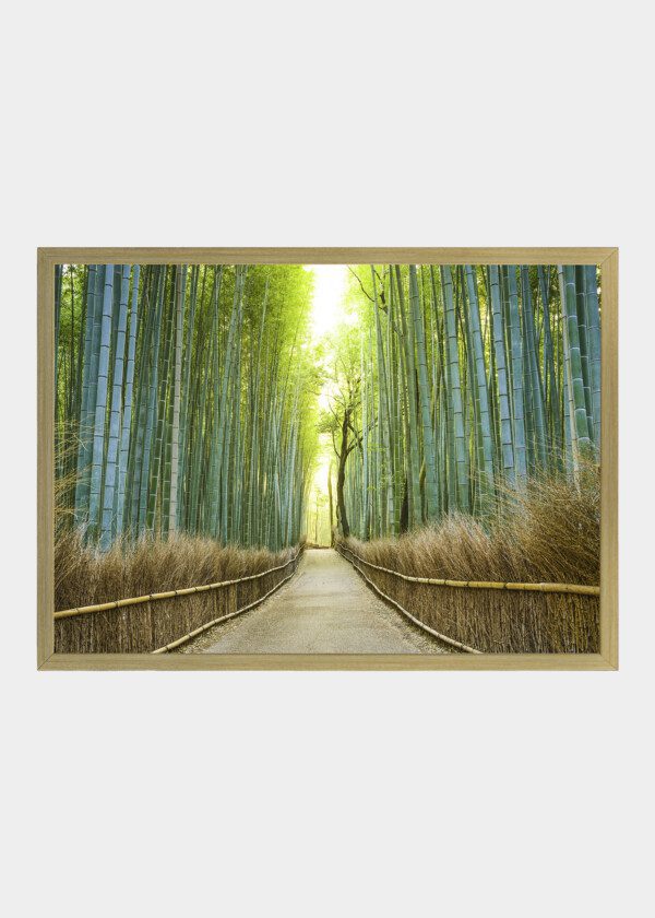 ROAD THROUGH THE BAMBOO FOREST
