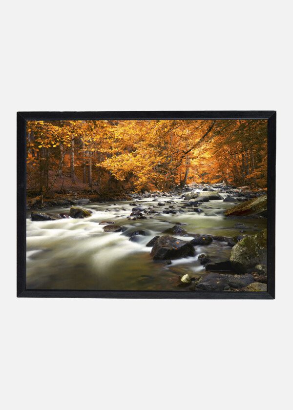 BROOK IN AUTUMN COLORS