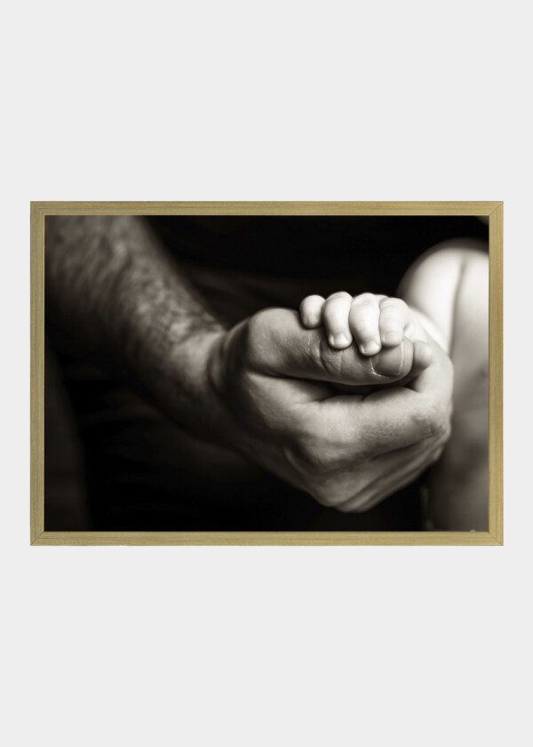 HANDS