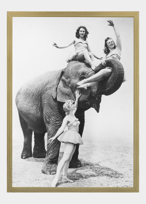 GIRLS WITH ELEPHANT