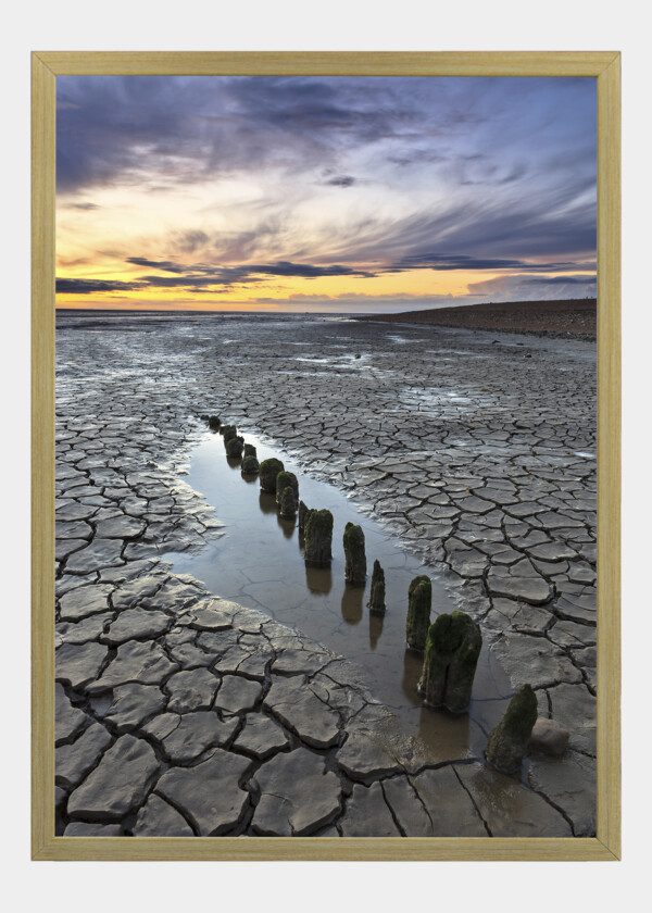 DRY LAND AFTER RAIN