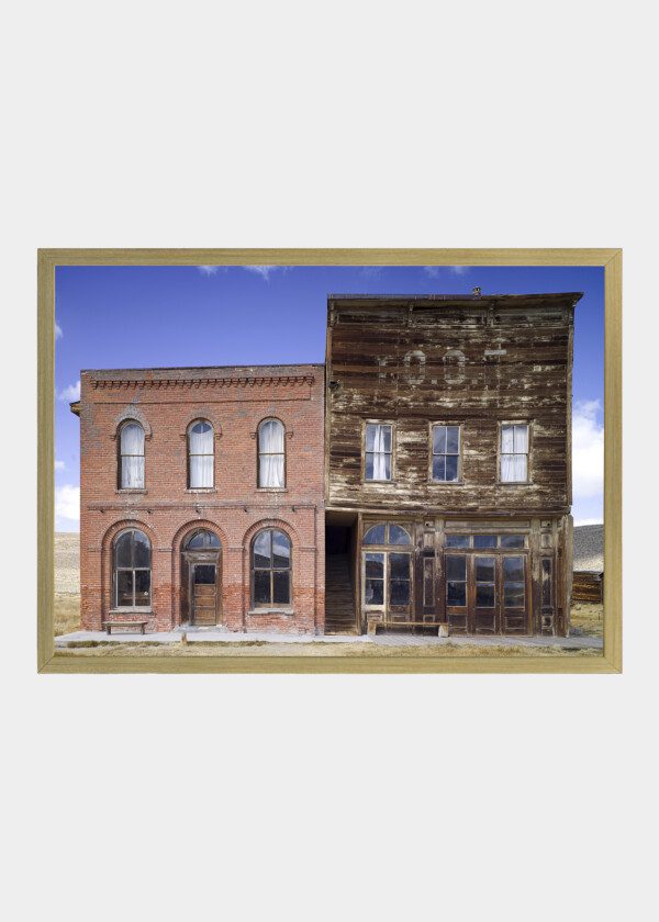 HOUSE IN THE WILD WEST